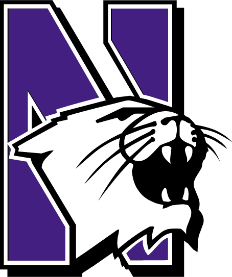 Northwestern Wildcats 1981-2011 Primary Logo 01 iron on paper